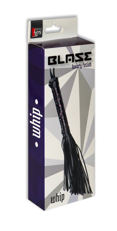 BLAZE BIČ